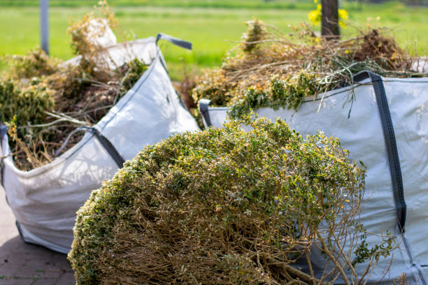 Yard Cleanup Services in Garden City, MI